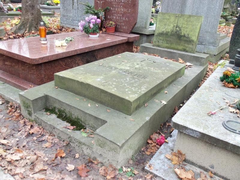 Zdjęcie grobu Michał Nowina-Witkowski (1)