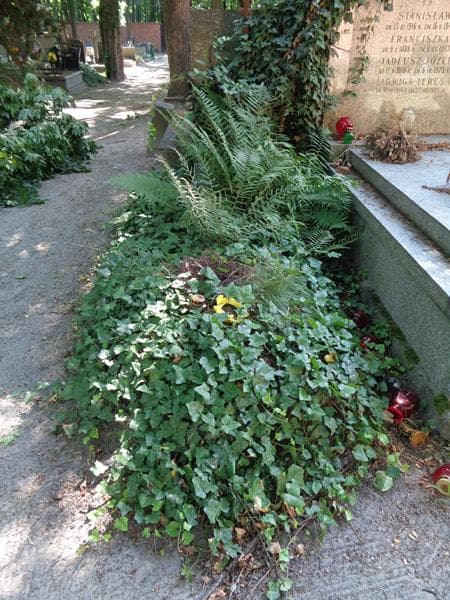 Zdjęcie grobu Elżbieta Dudek (1)