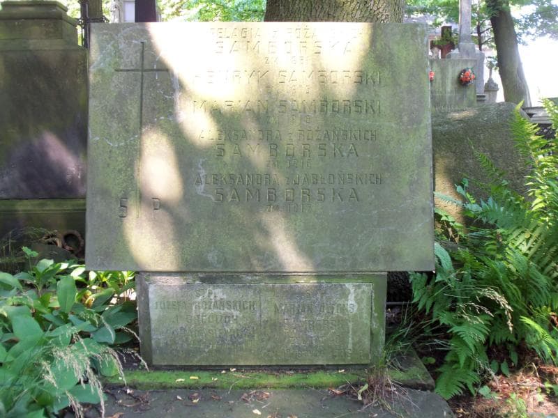 Zdjęcie grobu Józefa Harasiewicz (2)