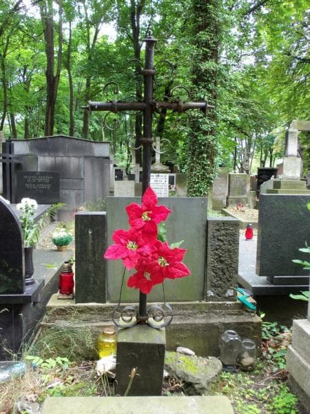 Zdjęcie grobu Karol Charzyński (2)