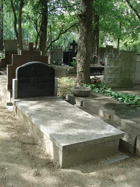 Zdjęcie grobu Aleksander Barbulant (1)