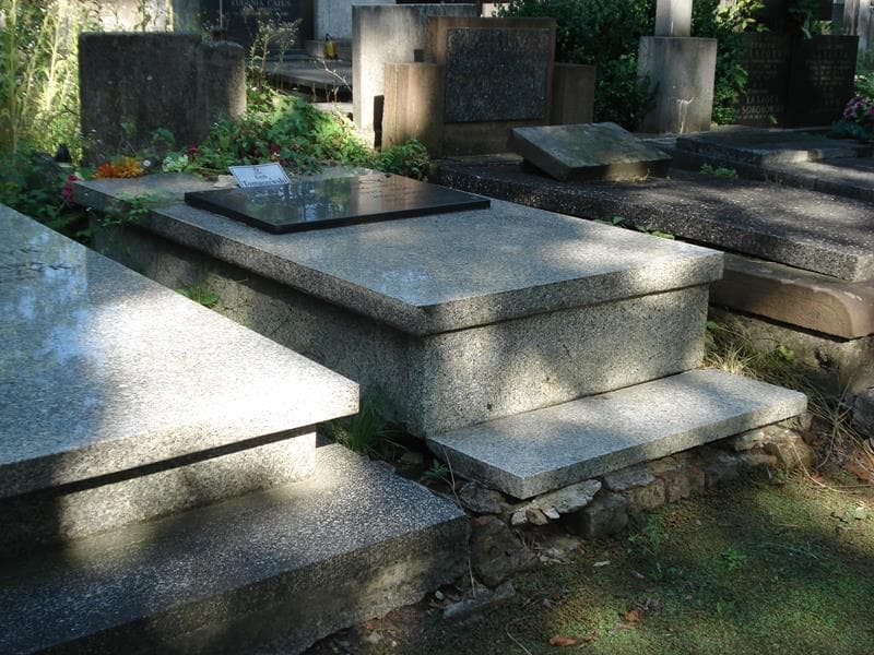 Zdjęcie grobu Henryk Tomaszewski (1)