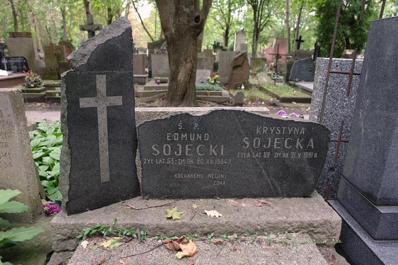 Zdjęcie grobu Stefania Krzyżanowska (2)