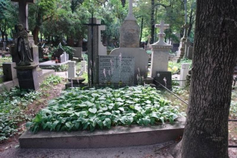 Zdjęcie grobu: Leopold Burakowski