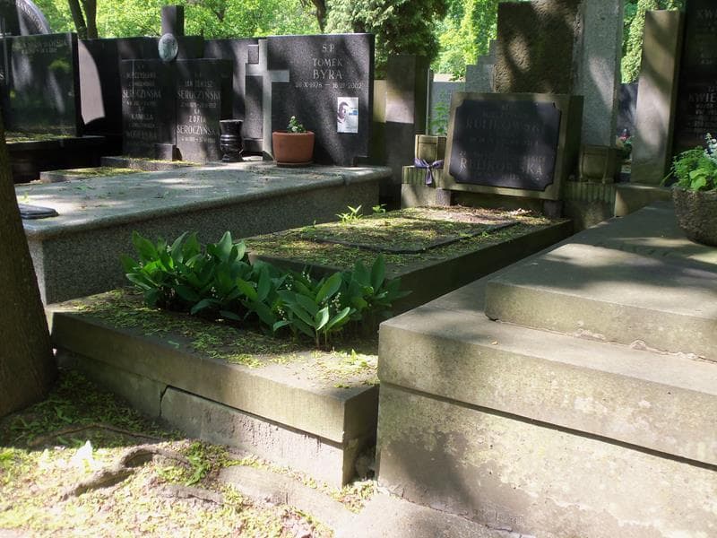 Zdjęcie grobu Janina Rulikowska (1)
