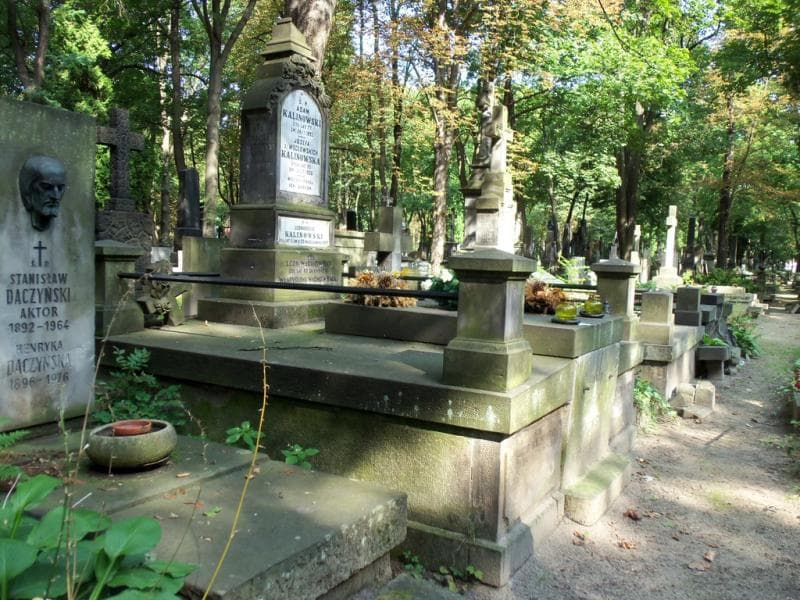 Zdjęcie grobu Aleksander Wachowski (1)