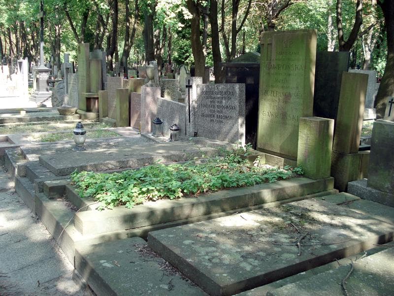 Zdjęcie grobu: Józefa Szczepanowska