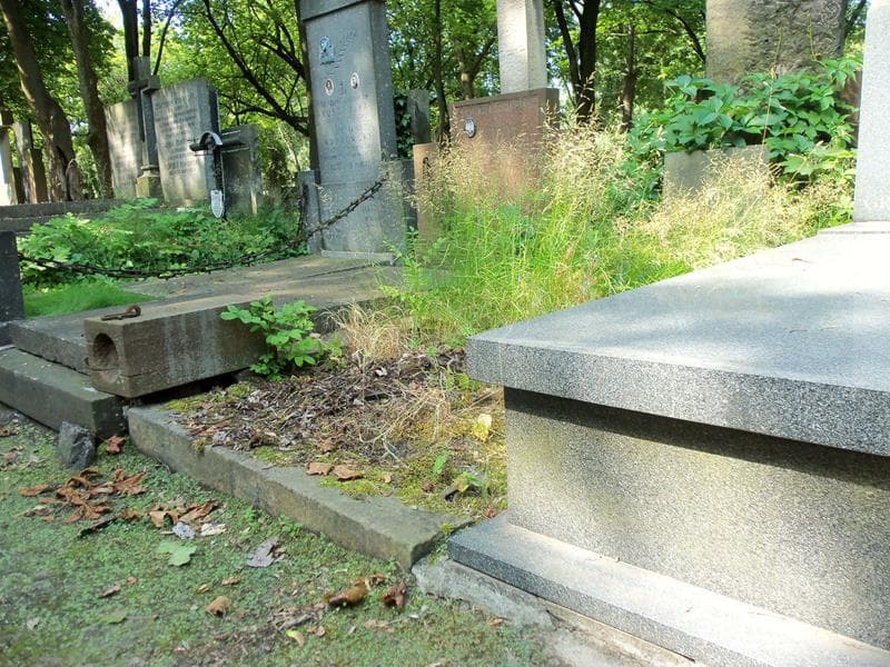 Zdjęcie grobu Bronisław Wolski (1)
