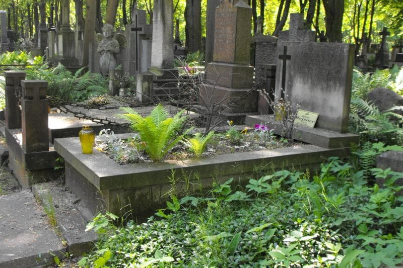 Zdjęcie grobu: Władysław Belina-Bylina