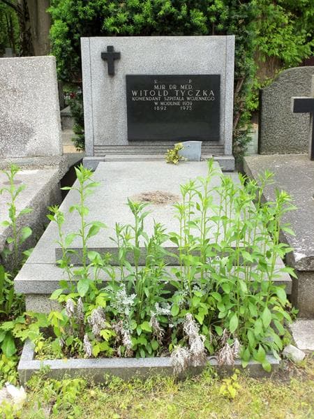 Zdjęcie grobu: Witold Tyczka