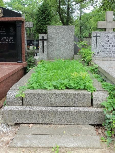 Zdjęcie grobu: Wacław Lewicki