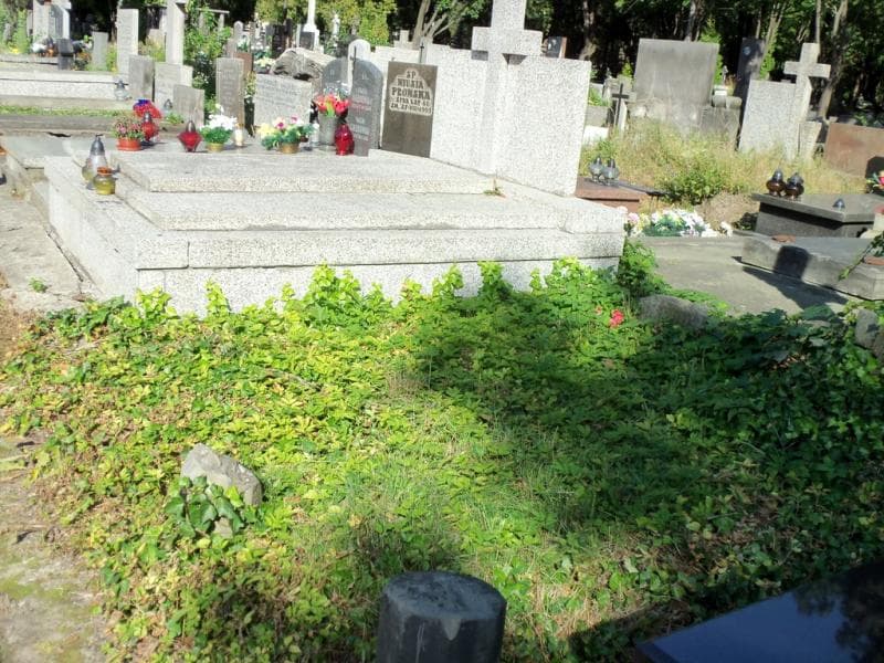Zdjęcie grobu Wacio Choroblewski (1)