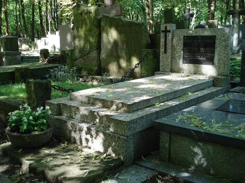 Zdjęcie grobu Dobrosław Teleżyński (1)
