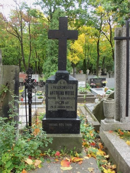 Zdjęcie grobu Antonina Woyde (2)
