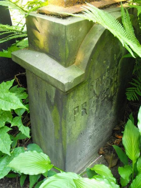 Zdjęcie grobu Stanisław Przybylski (2)