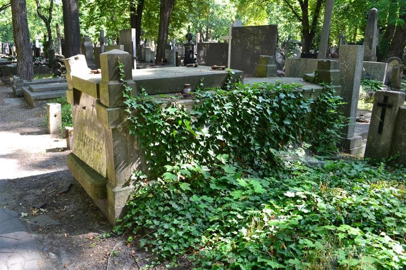 Zdjęcie grobu Olszewscy (2)