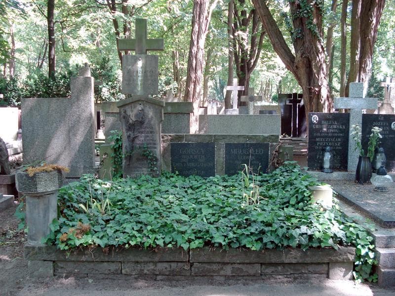 Zdjęcie grobu: Wojciech Górski