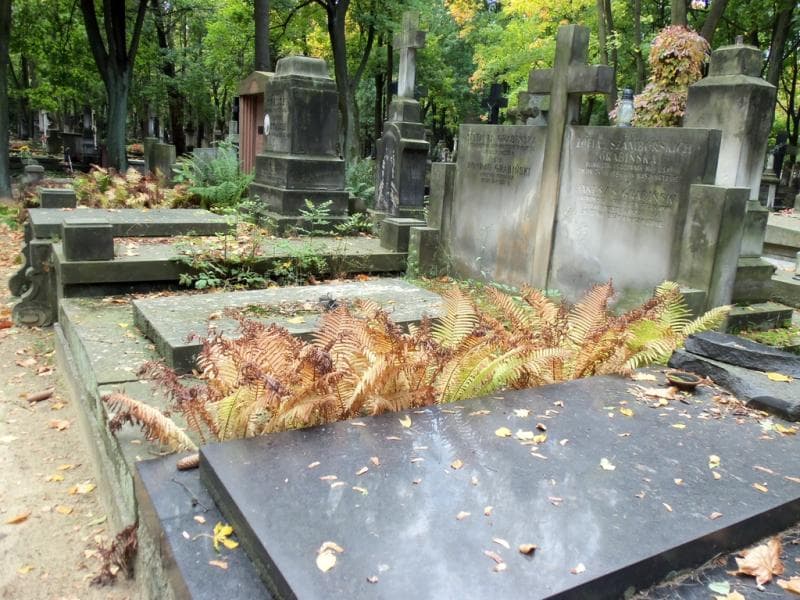 Zdjęcie grobu Janusz S. Grabiński (1)