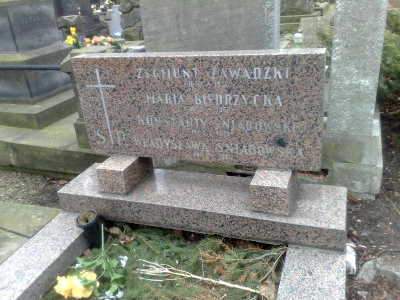 Zdjęcie grobu Maria Biedrzycka (2)