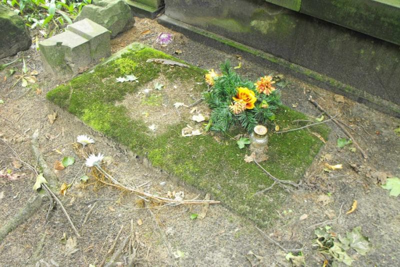 Zdjęcie grobu Bolesław Wolkowski (2)