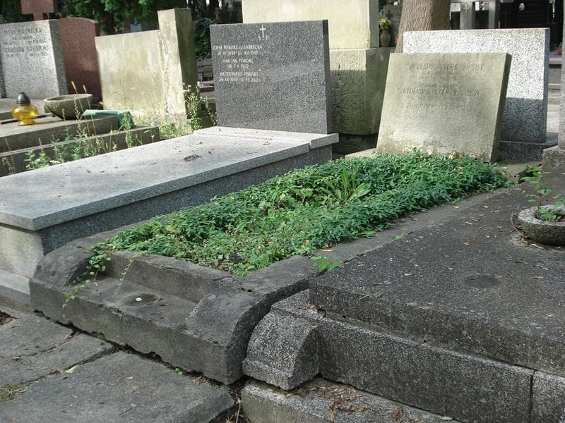 Zdjęcie grobu Szczęsny Stępczyński (1)