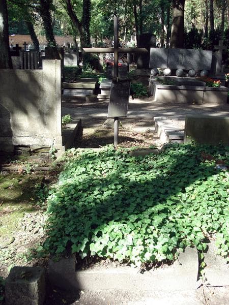 Zdjęcie grobu Józefa Niewiadomska (1)