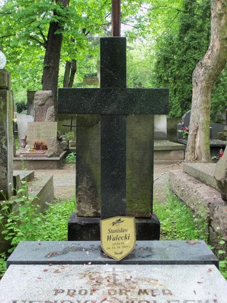 Zdjęcie grobu Henryk Walecki (2)