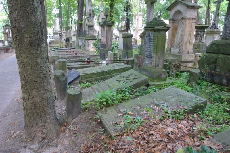 Zdjęcie grobu: Salomea Lubowidzka