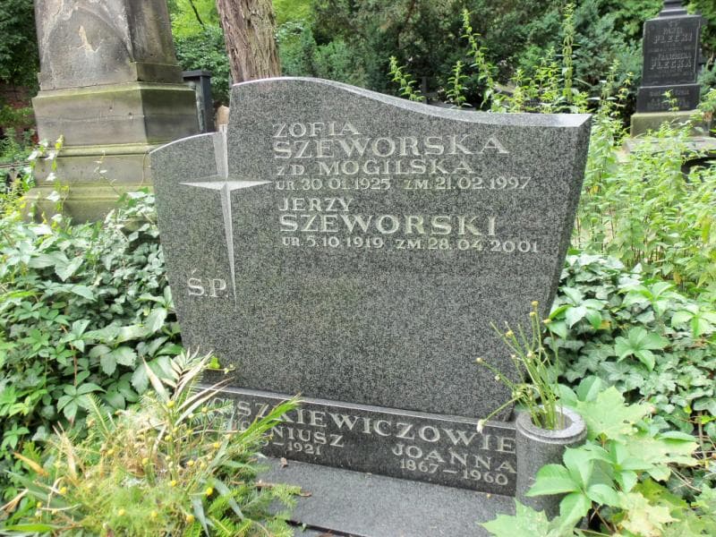 Zdjęcie grobu Eugeniusz Ciszkiewicz (2)