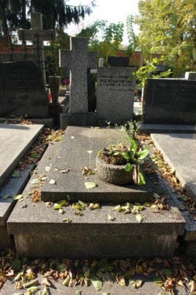 Zdjęcie grobu: Stanisława Niewiarowska
