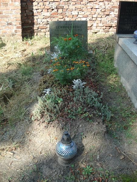 Zdjęcie grobu Józef Lewandowski (1)
