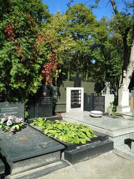 Zdjęcie grobu Stefania Bachtin (1)