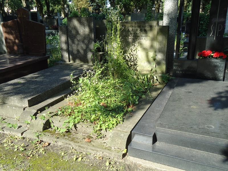 Zdjęcie grobu Maria Hanna Kurek (1)