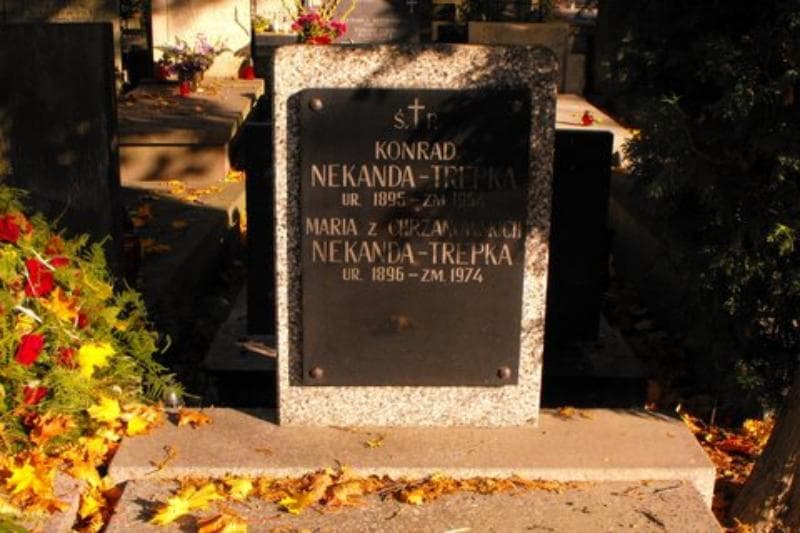 Zdjęcie grobu Maria Nekanda - Trepka (2)