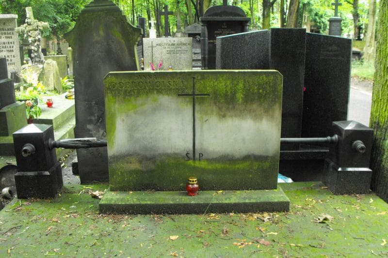 Zdjęcie grobu Anna Dobrowolska (2)