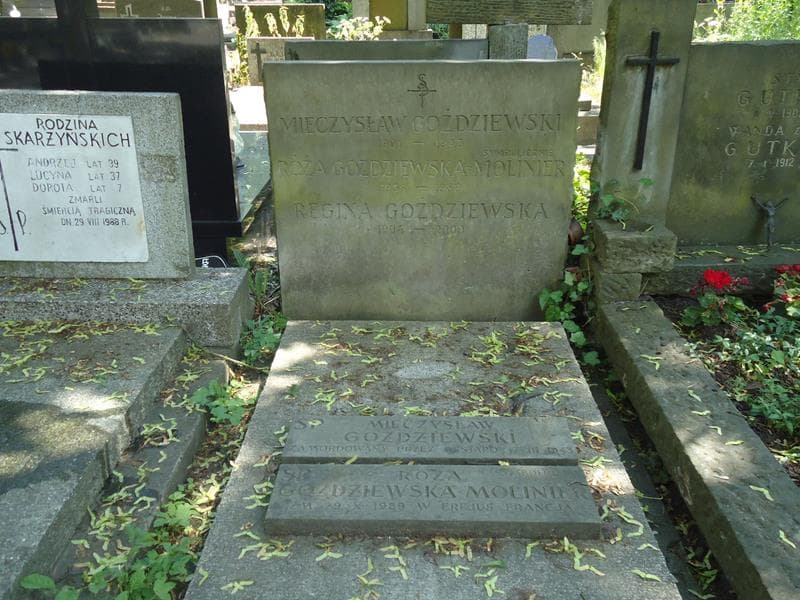 Zdjęcie grobu Mieczysław Goździewski (2)