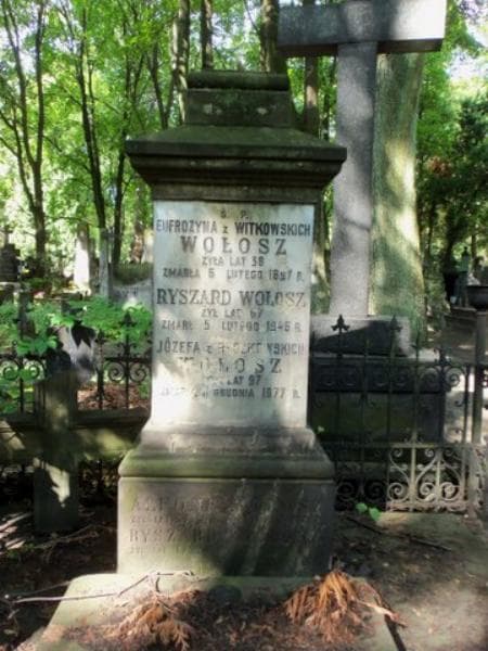 Zdjęcie grobu Alfons Wołosz (2)