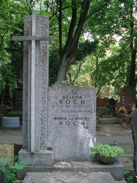 Zdjęcie grobu Helena Koch (2)