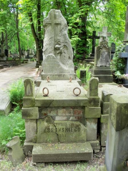 Zdjęcie grobu: Władysław Walewski