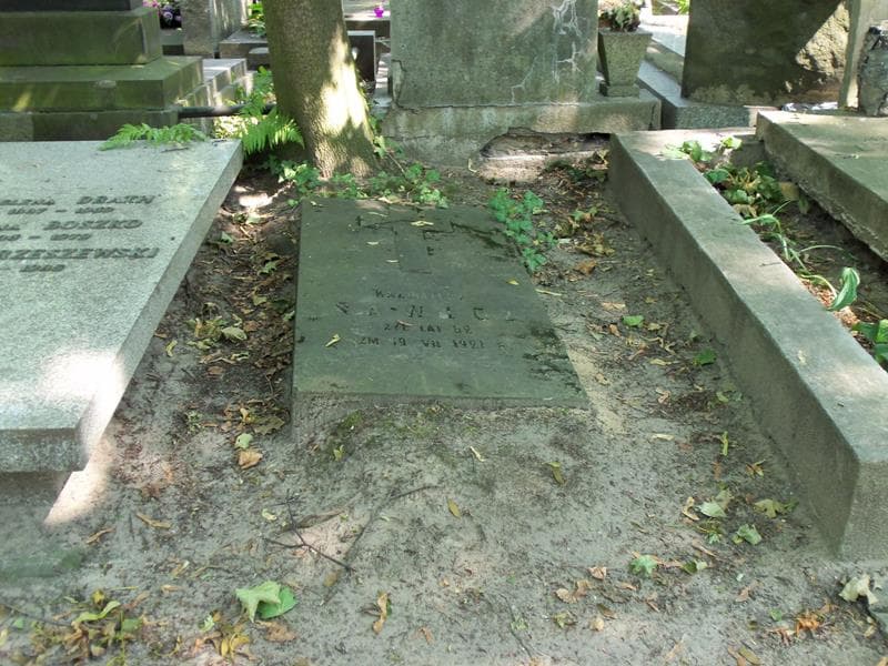 Zdjęcie grobu Kazimierz Sawicz (1)