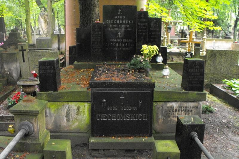 Zdjęcie grobu Zygmunt Wasserab (1)