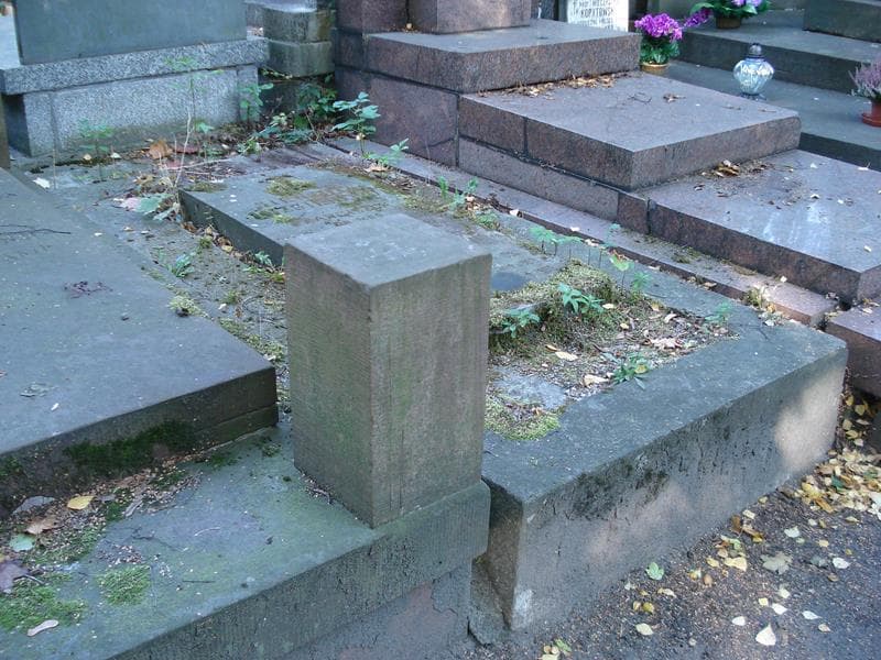 Zdjęcie grobu Kazimierz Sieniuta-Mizgier (2)