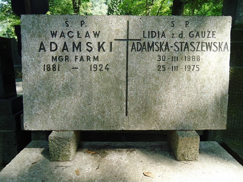 Zdjęcie grobu Lidia Adamska-Staszewska (2)