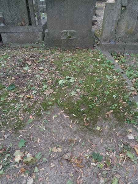 Zdjęcie grobu ... (olszak) (1)