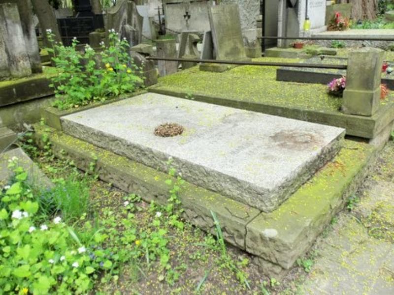 Zdjęcie grobu Mieczysław Lewicki (1)