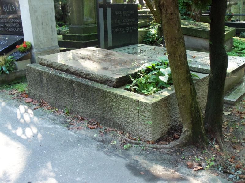 Zdjęcie grobu Stanisław Hempel (1)