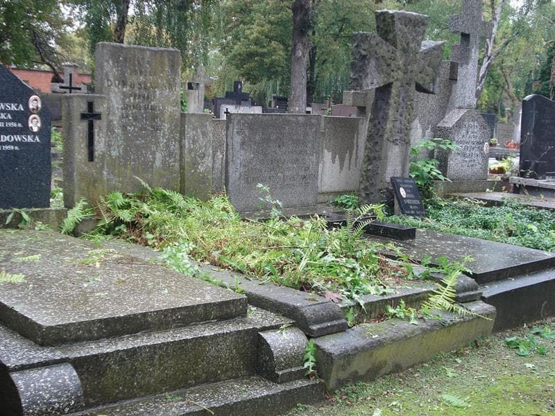 Zdjęcie grobu Bogdan Domosławski (1)