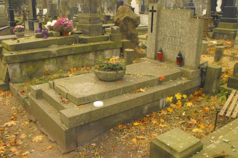 Zdjęcie grobu Józef Handzel (1)