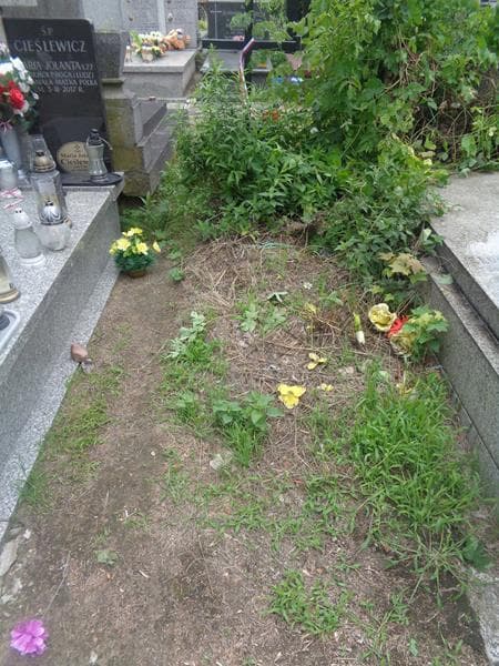 Zdjęcie grobu Pole Grobowe (1)