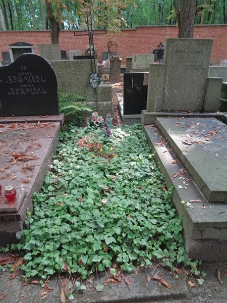 Zdjęcie grobu Gertruda Jarmuszewska (1)